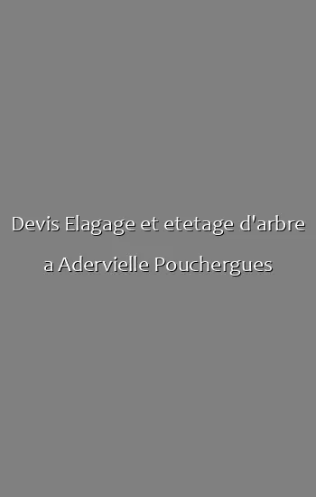 Devis Elagage et etetage d'arbre a Adervielle Pouchergues