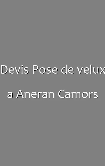 Devis Pose de velux a Aneran Camors
