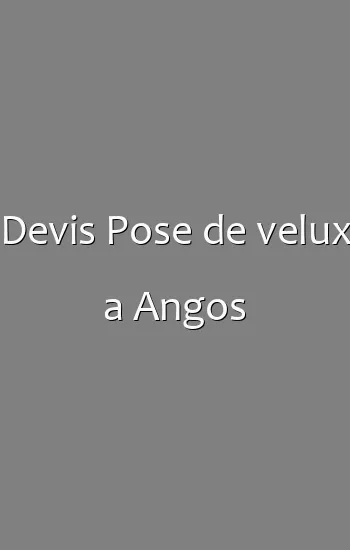 Devis Pose de velux a Angos