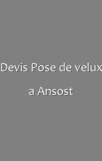Devis Pose de velux a Ansost