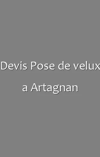 Devis Pose de velux a Artagnan