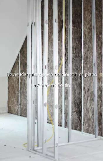 Devis Plaquiste pose de cloison et placo a Artalens Souin
