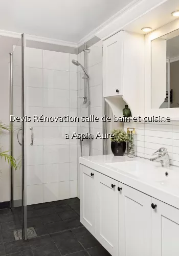 Devis Rénovation salle de bain et cuisine a Aspin Aure