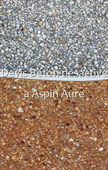 Devis Béton désactivé a Aspin Aure