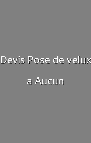 Devis Pose de velux a Aucun