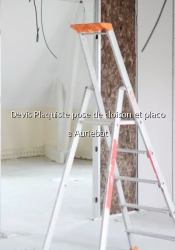 Devis Plaquiste pose de cloison et placo a Auriebat
