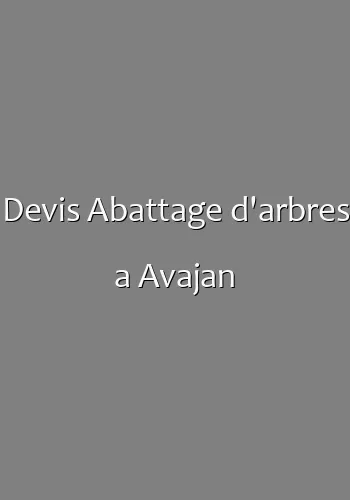 Devis Abattage d'arbres a Avajan