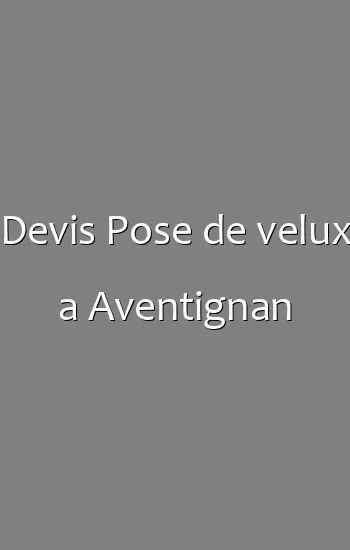Devis Pose de velux a Aventignan