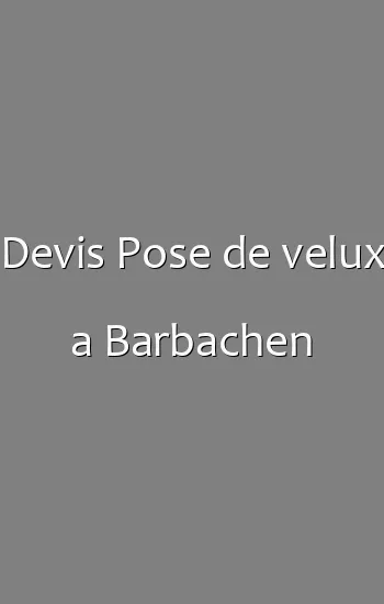 Devis Pose de velux a Barbachen