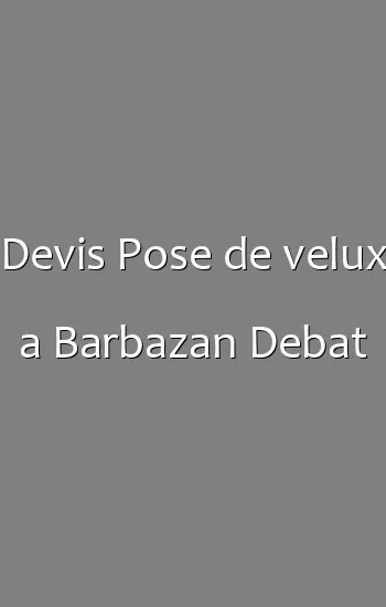 Devis Pose de velux a Barbazan Debat