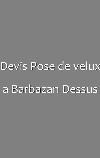 Devis Pose de velux a Barbazan Dessus
