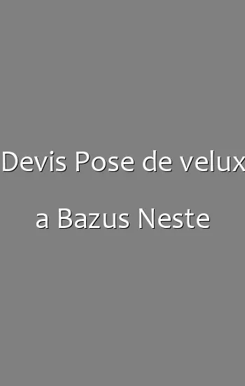 Devis Pose de velux a Bazus Neste