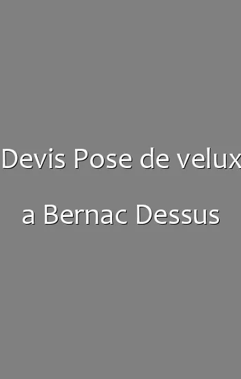 Devis Pose de velux a Bernac Dessus