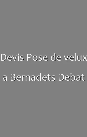 Devis Pose de velux a Bernadets Debat