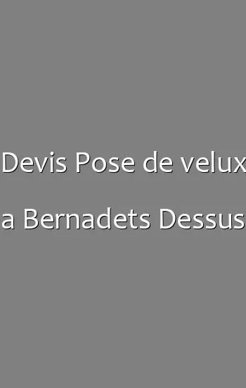 Devis Pose de velux a Bernadets Dessus