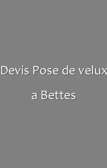 Devis Pose de velux a Bettes