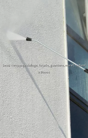 Devis Nettoyage dallage, façade, gouttiere, muret, toiture a Bizous