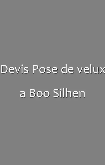 Devis Pose de velux a Boo Silhen