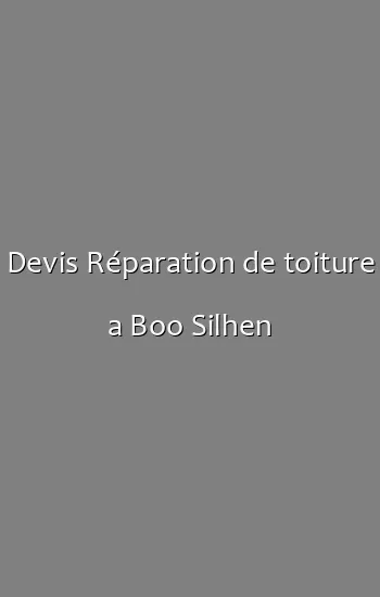 Devis Réparation de toiture a Boo Silhen