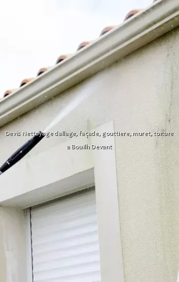 Devis Nettoyage dallage, façade, gouttiere, muret, toiture a Bouilh Devant