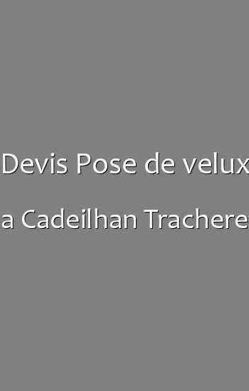 Devis Pose de velux a Cadeilhan Trachere