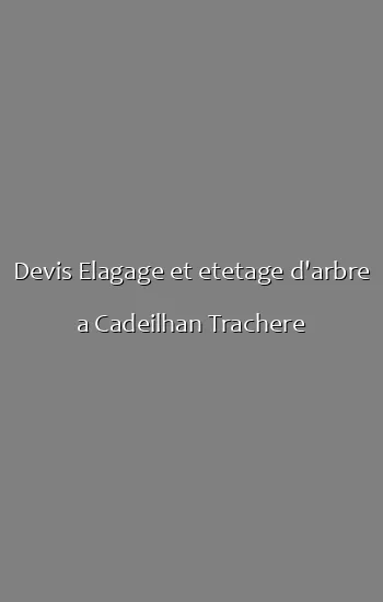 Devis Elagage et etetage d'arbre a Cadeilhan Trachere