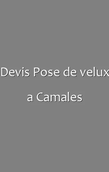 Devis Pose de velux a Camales