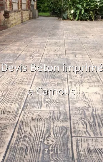 Devis Béton imprimé a Camous