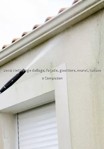 Devis Nettoyage dallage, façade, gouttiere, muret, toiture a Campuzan