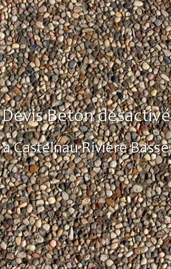 Devis Béton désactivé a Castelnau Riviere Basse