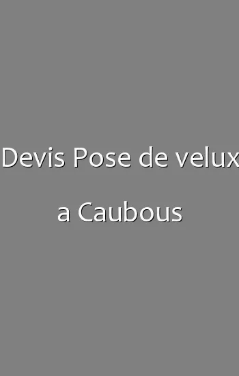 Devis Pose de velux a Caubous