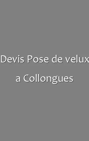 Devis Pose de velux a Collongues