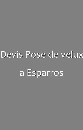 Devis Pose de velux a Esparros