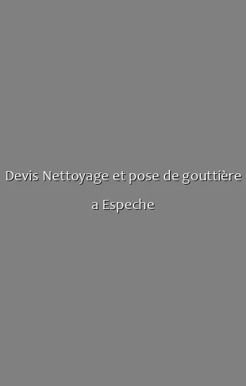 Devis Nettoyage et pose de gouttière a Espeche