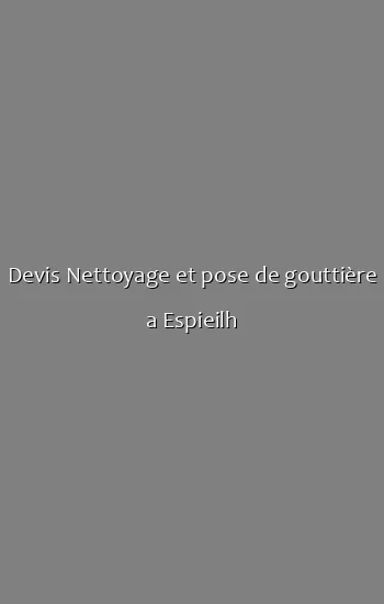 Devis Nettoyage et pose de gouttière a Espieilh