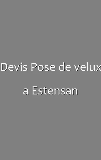 Devis Pose de velux a Estensan