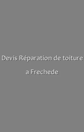 Devis Réparation de toiture a Frechede