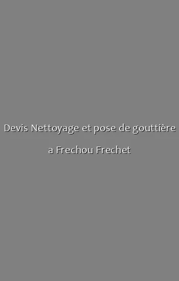 Devis Nettoyage et pose de gouttière a Frechou Frechet