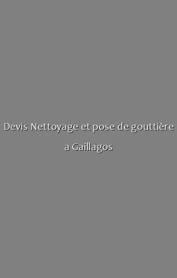 Devis Nettoyage et pose de gouttière a Gaillagos