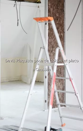 Devis Plaquiste pose de cloison et placo a Gaussan