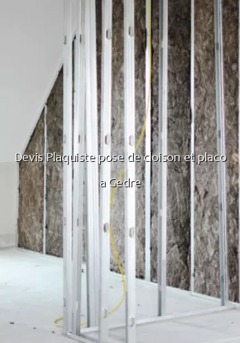 Devis Plaquiste pose de cloison et placo a Gedre