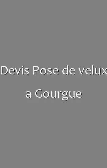 Devis Pose de velux a Gourgue