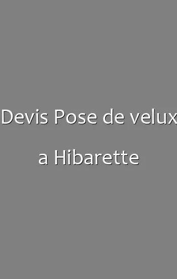 Devis Pose de velux a Hibarette