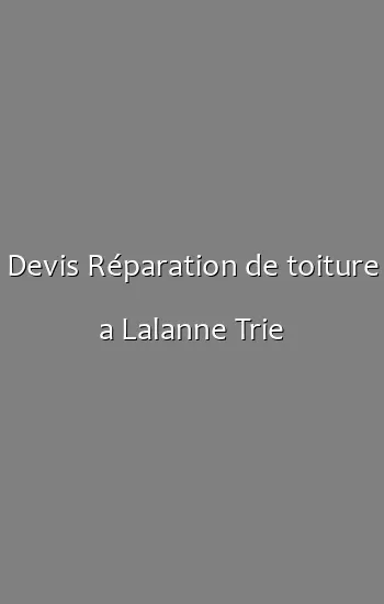 Devis Réparation de toiture a Lalanne Trie