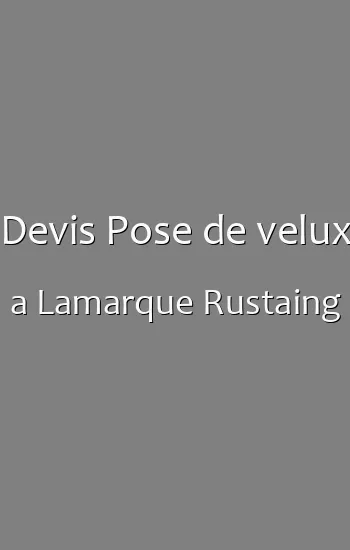 Devis Pose de velux a Lamarque Rustaing