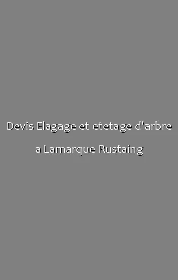 Devis Elagage et etetage d'arbre a Lamarque Rustaing