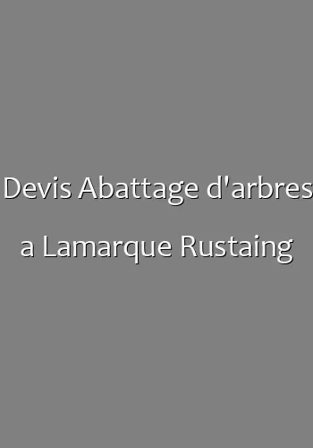 Devis Abattage d'arbres a Lamarque Rustaing
