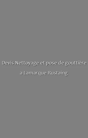Devis Nettoyage et pose de gouttière a Lamarque Rustaing
