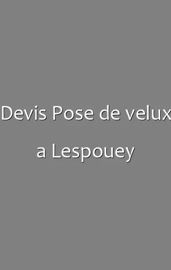 Devis Pose de velux a Lespouey