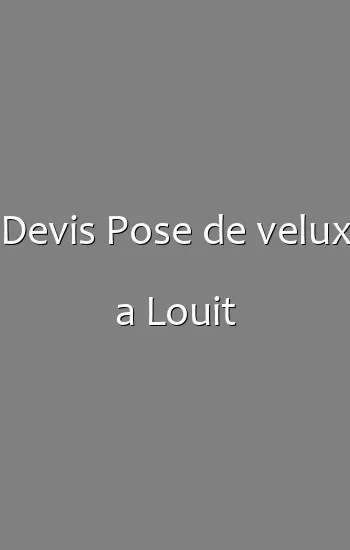 Devis Pose de velux a Louit